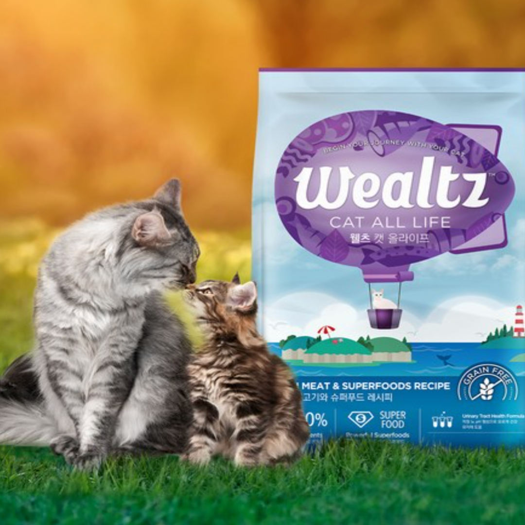 Wealtz All Life Cat  - 全齡均衡雞肉主糧 6KG