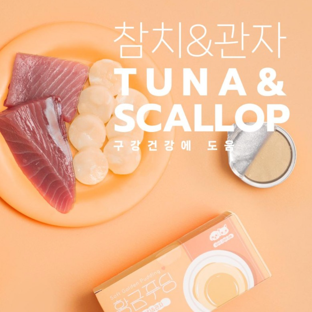 집사일기 - 黃金布丁